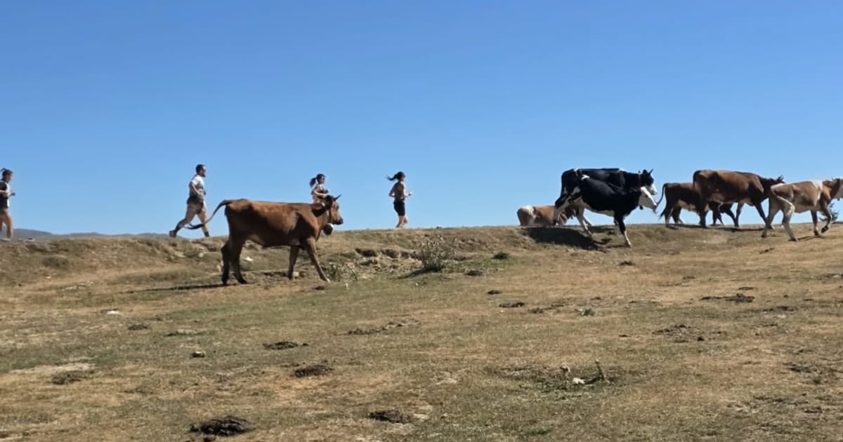 Trail dans les monts Šar avec une seule eSIM Balkans