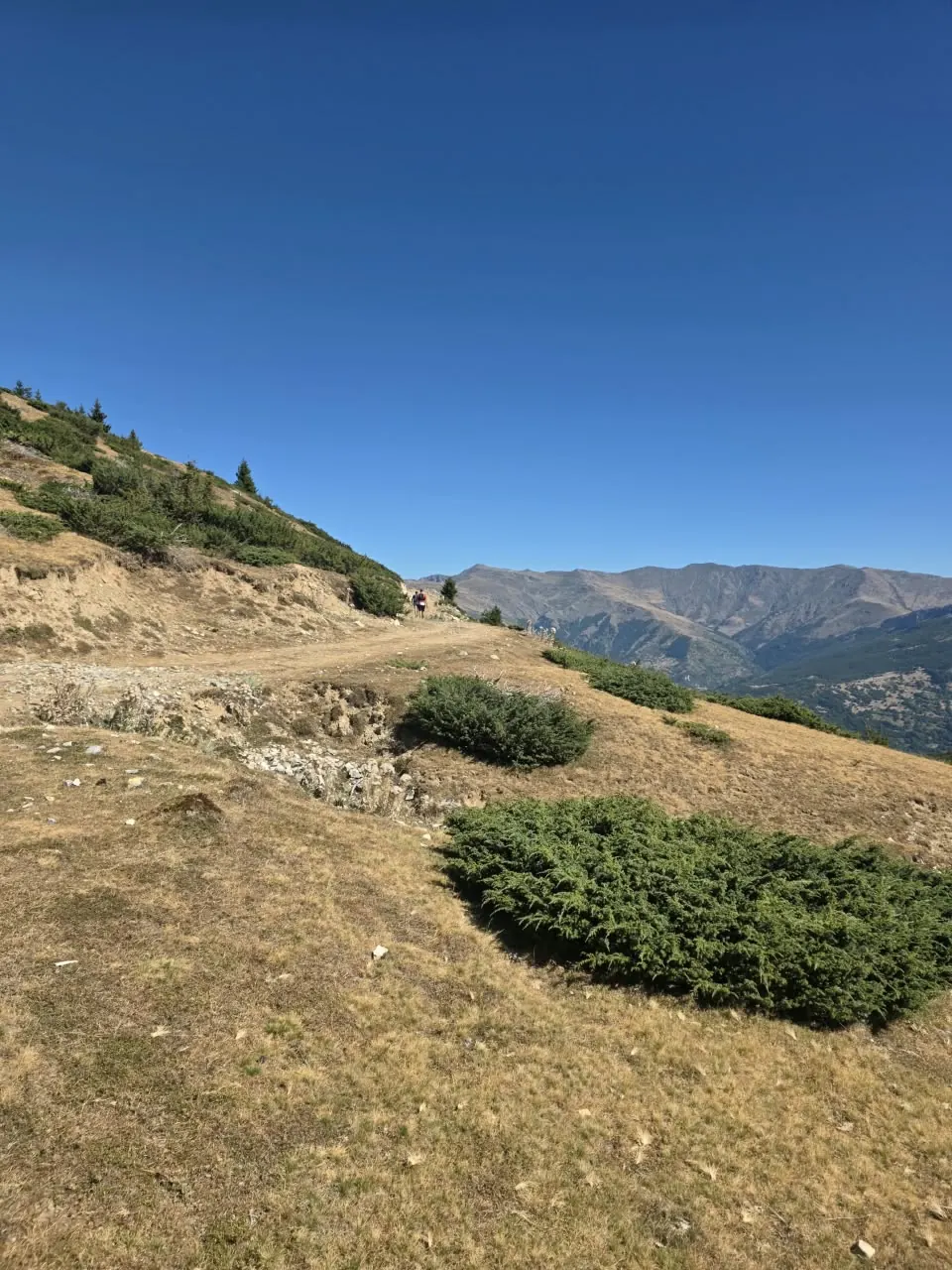 La piste de crête au départ : genévriers, herbe sèche et la ligne des monts Šar derrière.