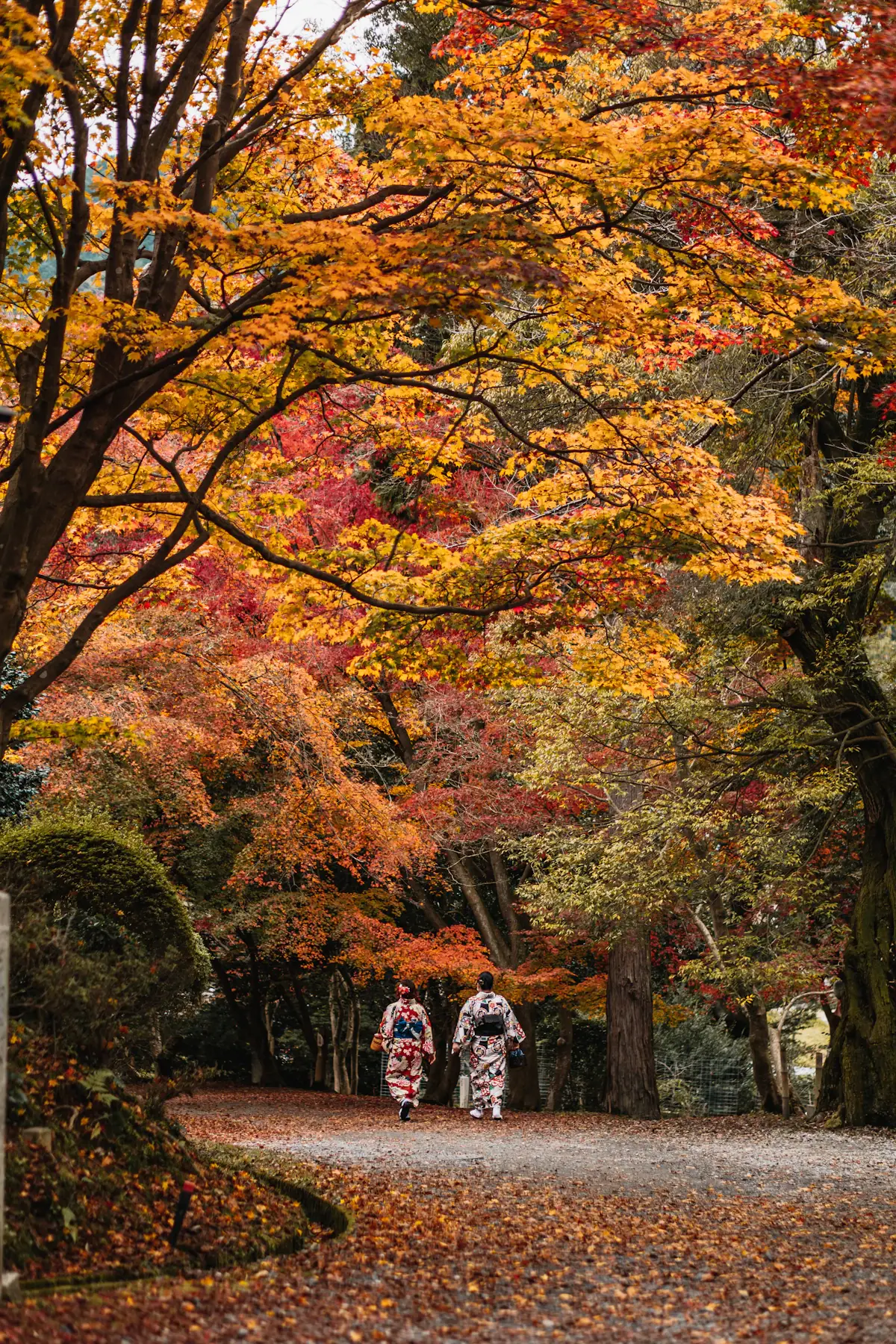 Zwei Menschen auf einem von Herbstlaub bedeckten Weg in Kyoto